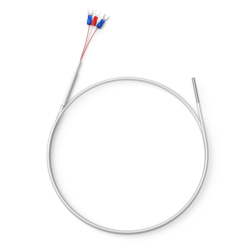 鐵氟龍熱電阻12_http://m.ttwn.com.cn_溫度儀表_第1張