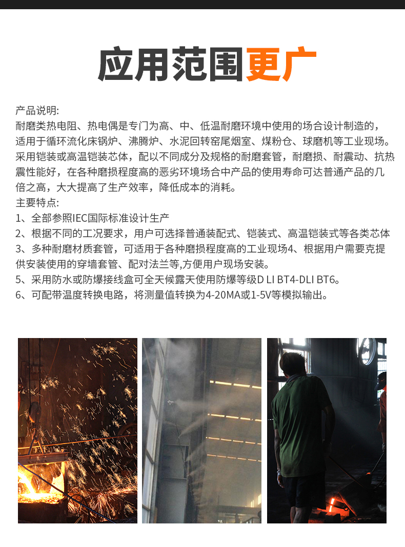 WRNM-131耐磨熱電偶15_http://m.ttwn.com.cn_溫度儀表_第6張